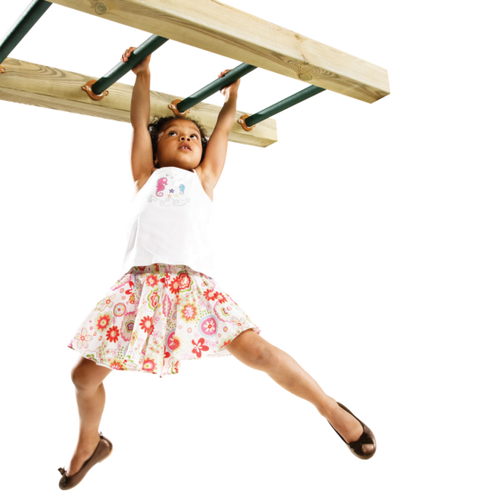 Metal Monkey Bars (rungs only)