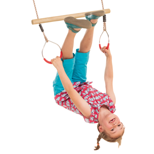 Ring trapeze with metal rings