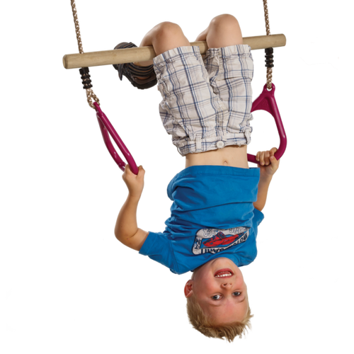Ring trapeze with plastic rings