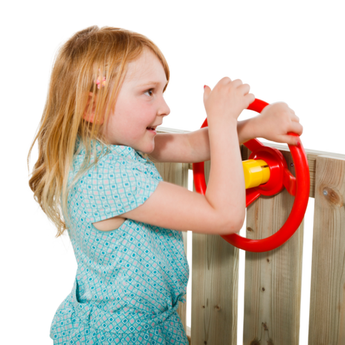 Steering Wheel with Horn