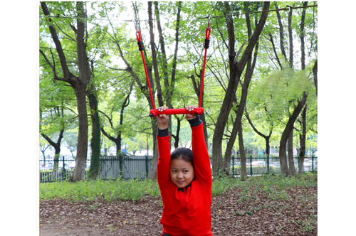 Ninja Plastic Trapeze