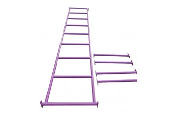 Monkey Bars with Steps
